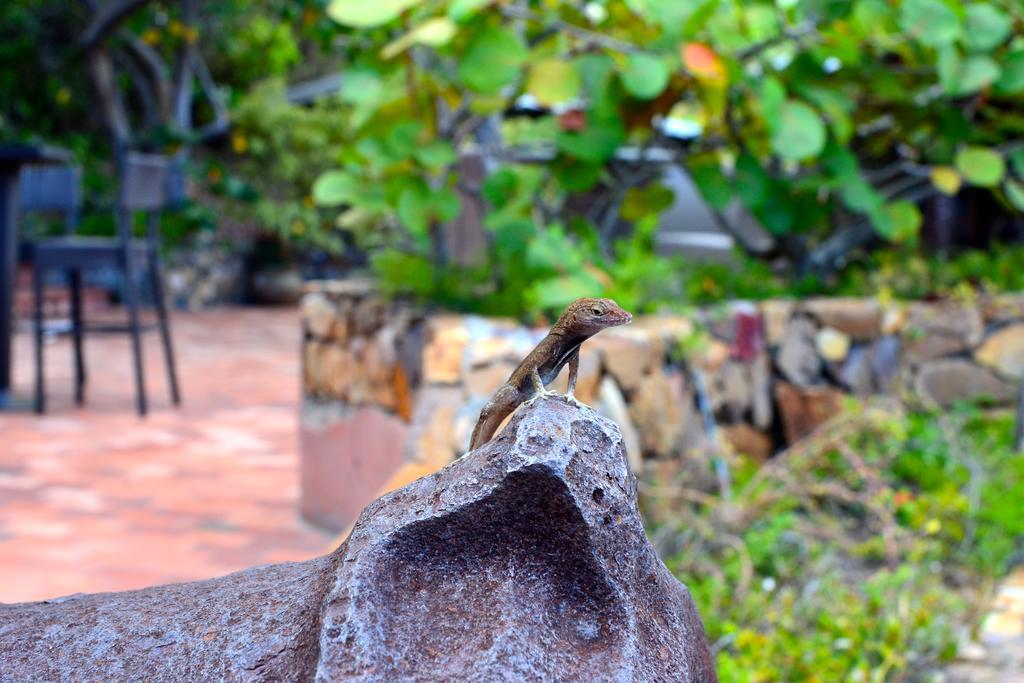 Lindbergh Bay Hotel Altona ภายนอก รูปภาพ